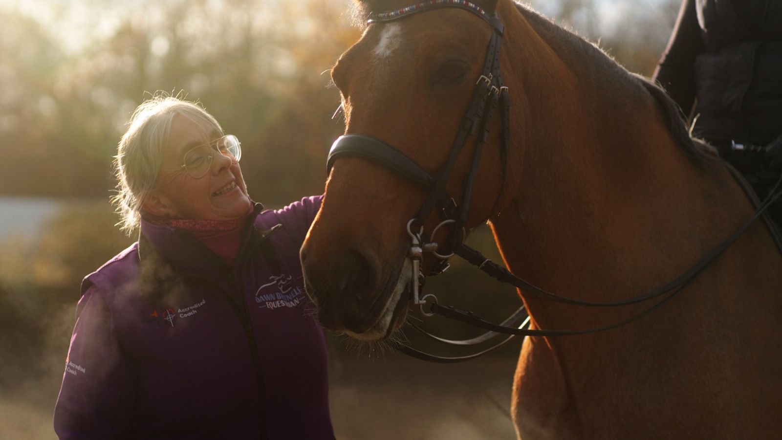 A rider's coach with a horse in low winter sun